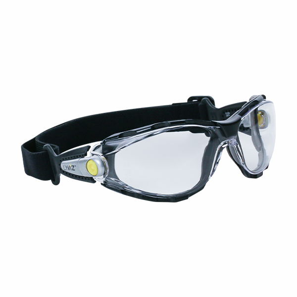 Lunettes de protection Pacaya Clear Strap Lyviz Delta Plus
